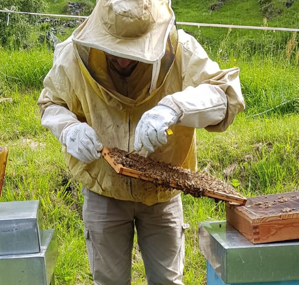 apicoltura miele andrea biscualo fratelli crestani autonegozio